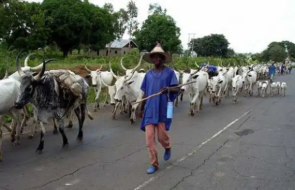 Oyo to prosecute gun-wielding herdsmen